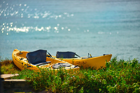 kayaks