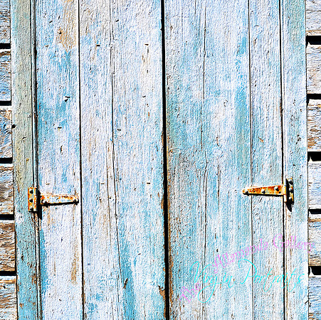 pale_blue_tortola