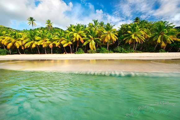 brewers_bay_tortola