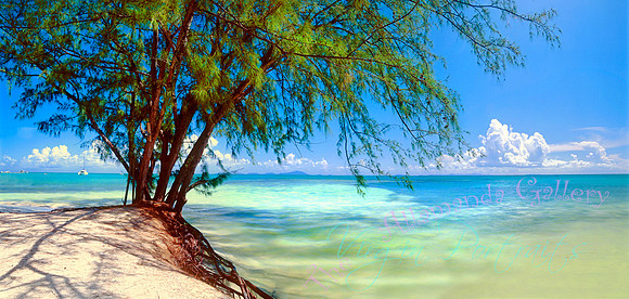 whistling_pines_anegada