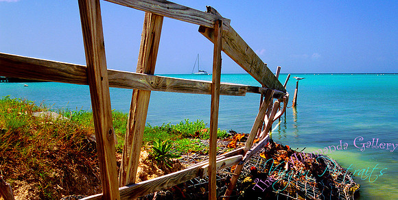lowells_fence_anegada