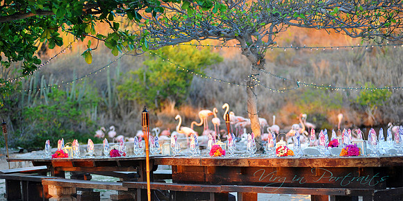 flamingo_table_necker